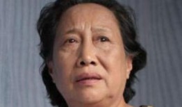 孙桂田爆料追求者视频,揭秘背后真相